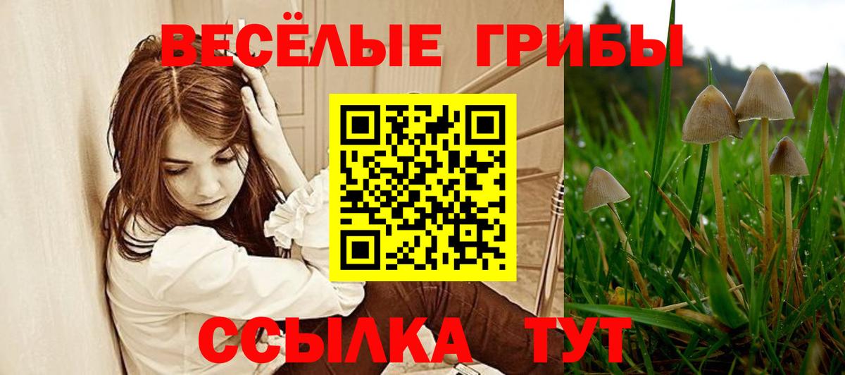 Ульяновск  Псилоцибиновые грибы мицелий  Вход с VPN 